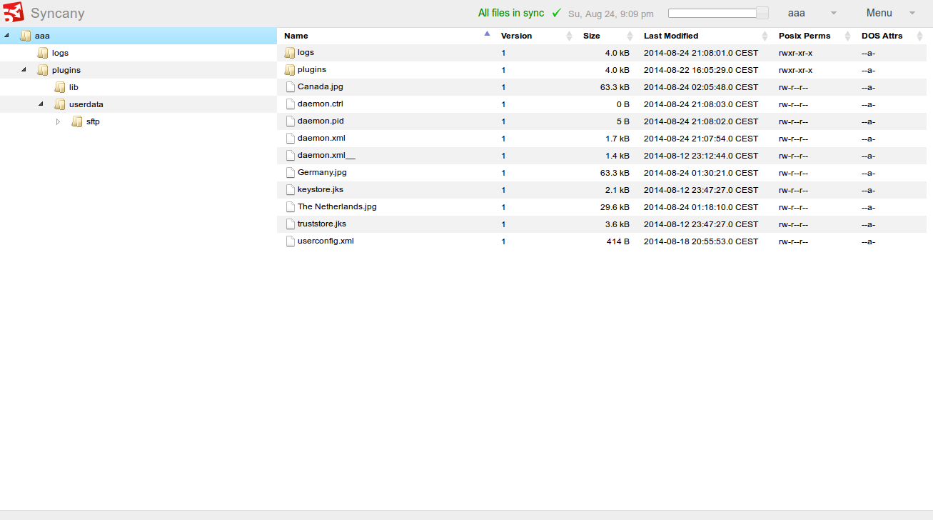 _images/plugins_simpleweb.png